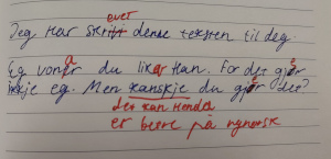 Tvo setningar skrivi i ei notatbok, ei på bokmål og ei på nynorsk, både med mistak rettet med raud penn.