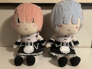 Two plushies, one of Ram and one of Rem, two characters from the Re:Zero anime. They are dressed in their normal maid outfits. Ram is on the left, with her pink hair and a frown, with Rem being on the right, with her light-blue hair and a smile.